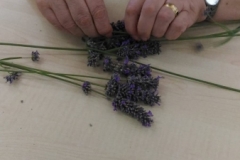 lavanda (1)